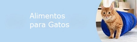 Alimentos para Gatos